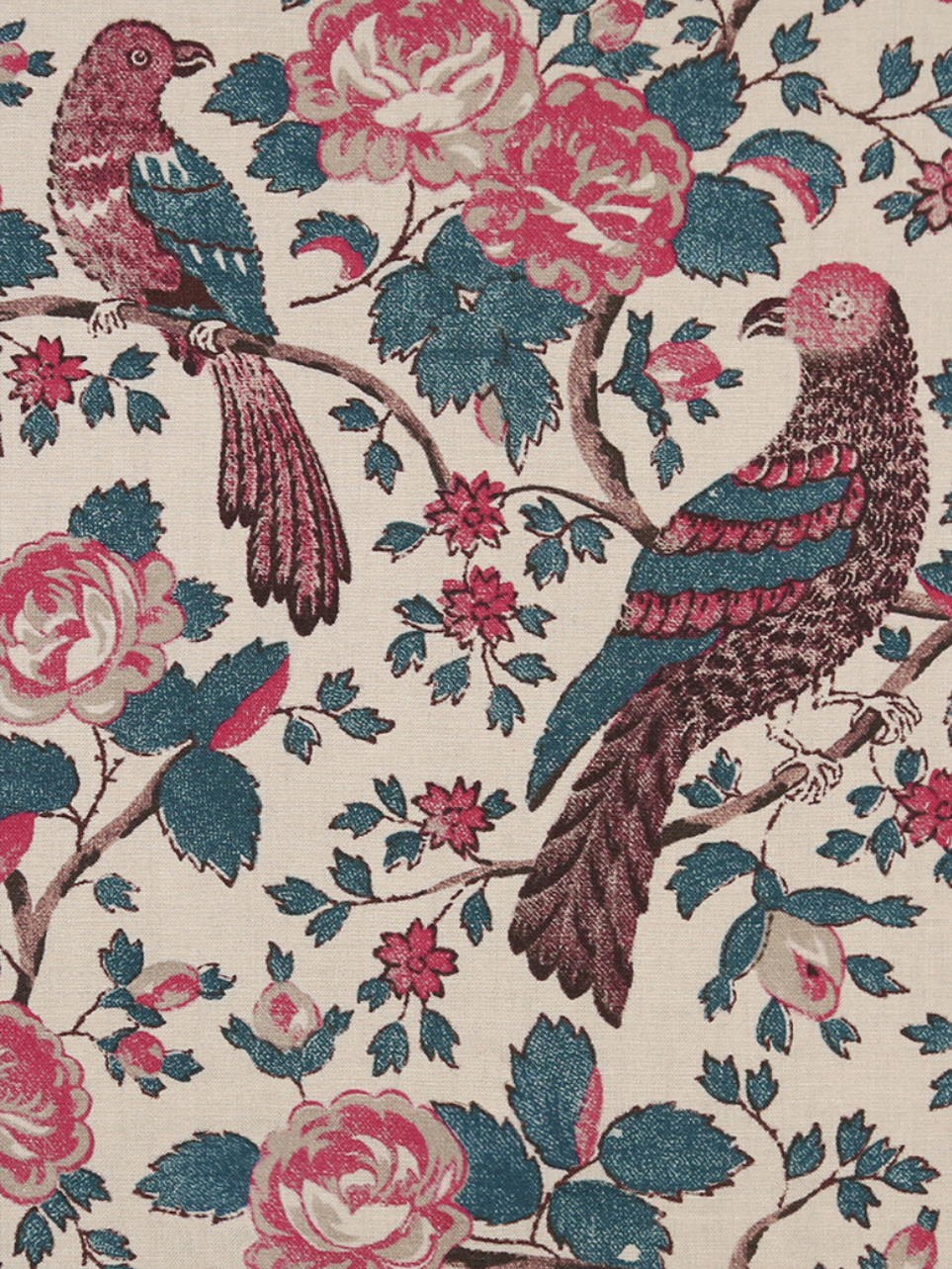 Caledonia | Peony